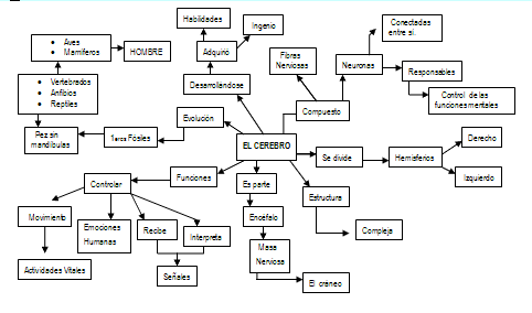 Mapa "El cerebro"